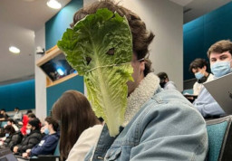 mask mandate mocking