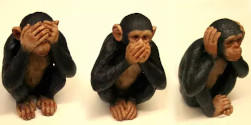 See no evil. Speak no evil. Hear no evil.